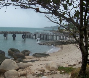 Torres Strait Island scene with beach almonds